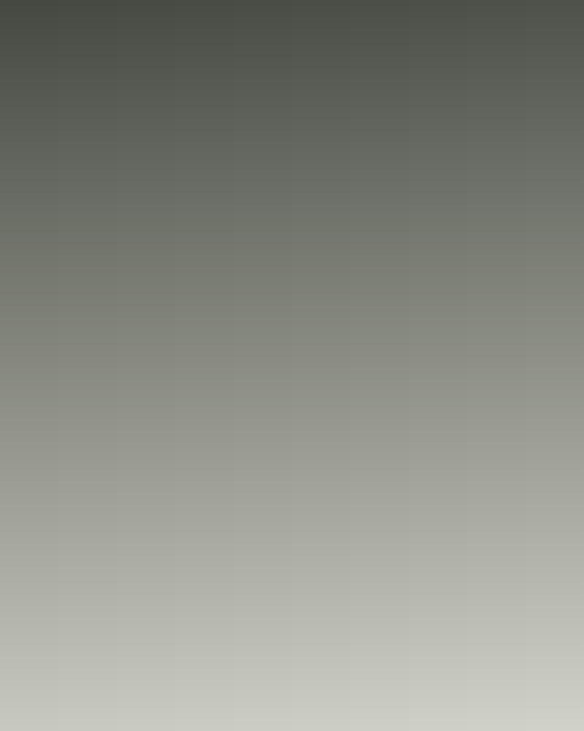 Placeholder gradient, slate to light