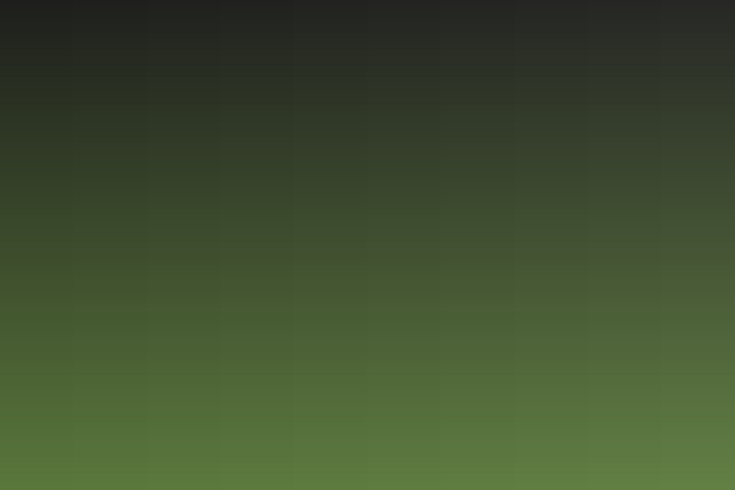 Placeholder gradient, ink to olive
